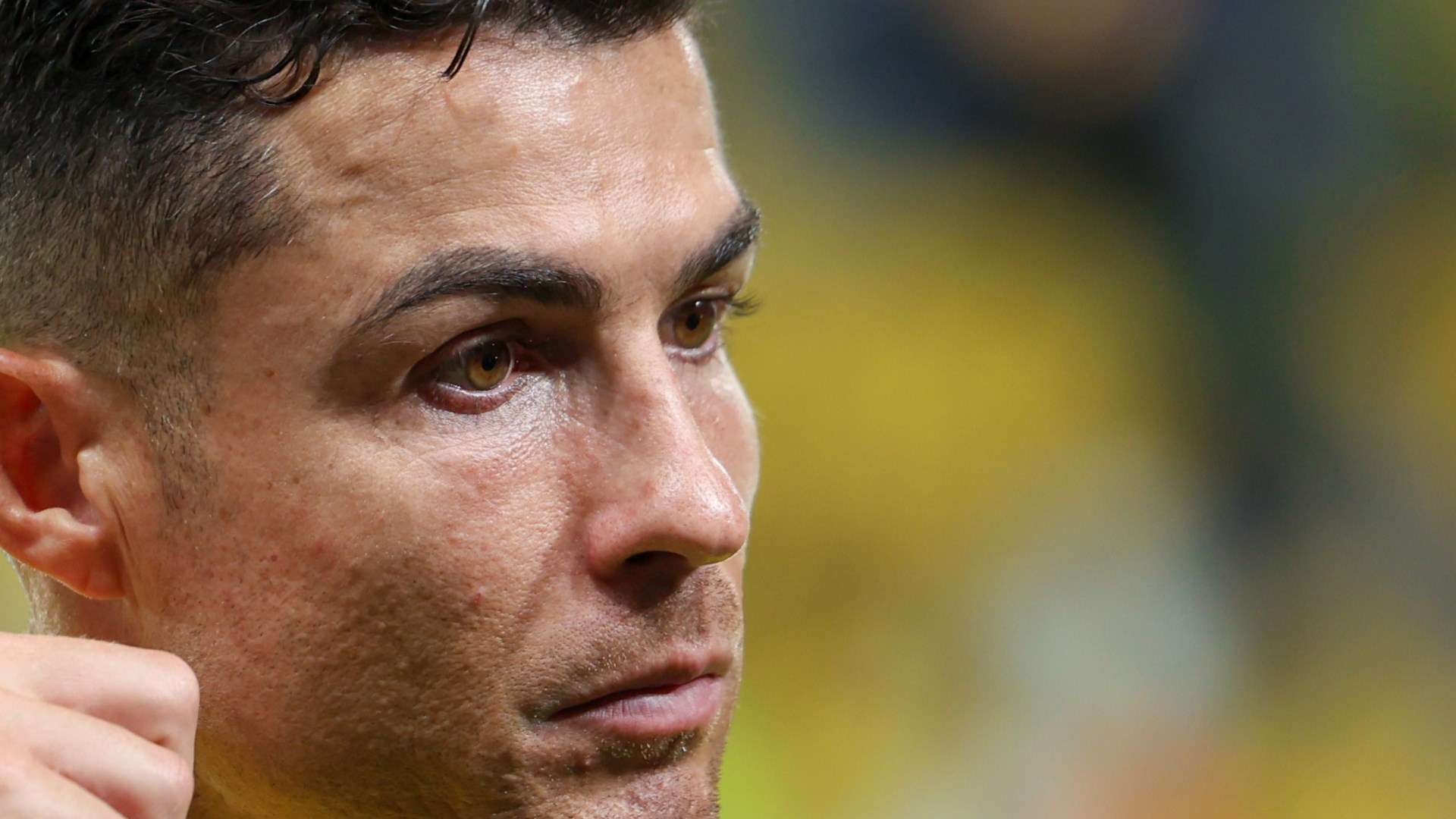 不仅是一种 不仅是一种