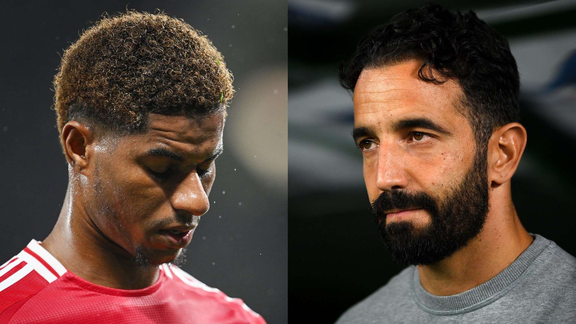 他用表现证 他用表现证