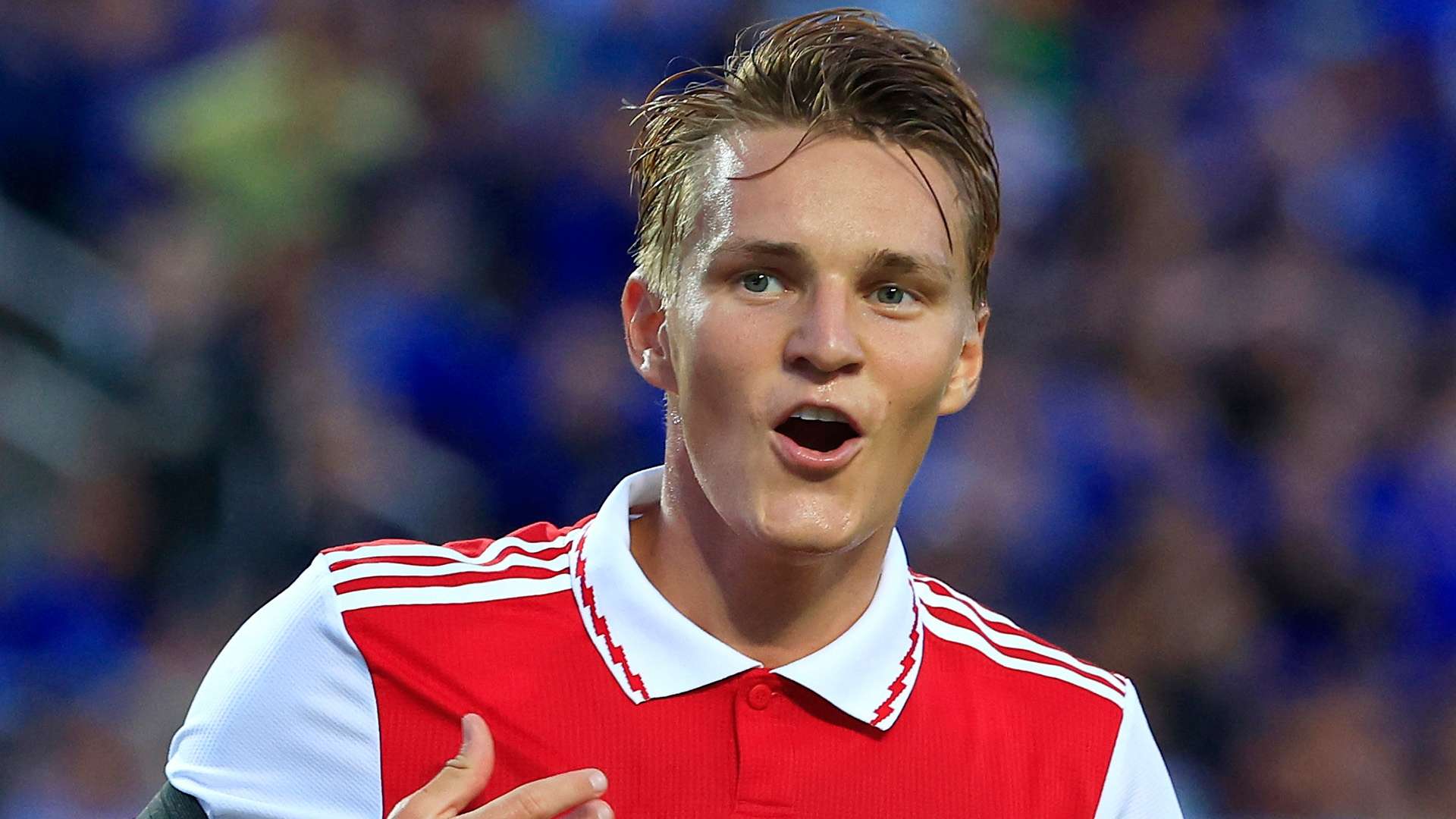 技巧娴熟的 技巧娴熟的